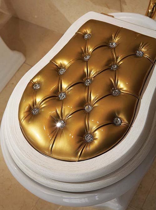 Louis Vuitton toilet with golden seat. #luxurytoilet